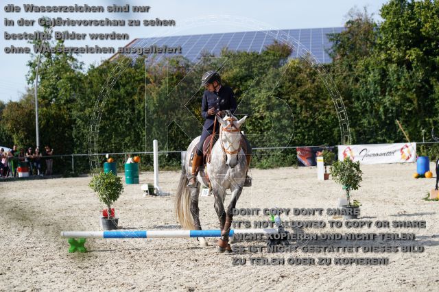 s_K3F04314.JPG